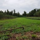 강산골프연습장 이미지