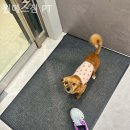 원에스짐 이미지