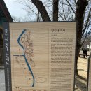 1471 | 대구에서 가까운 주차 편리한 봄 여행지 양산 통도사