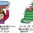 예쁜말바른말 - ‘똬리’와 ‘또아리’/ 서울 양진초 교장 류덕엽 이미지