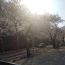 감자바우민박 이미지