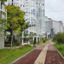 다정동 BRT 정거장 이미지