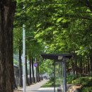 예술대약수터 | 경기도 의왕시 명산+100 [모락산] 후기