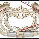 오늘도PT 이미지