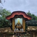 고양이 기숙사 이미지