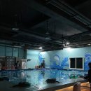 낭만물고기실내바다낚시터 이미지