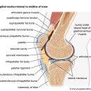 마디정형외과의원 이미지