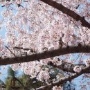 가락타운2단지 이미지