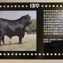 태후제주시청점 이미지