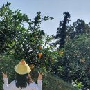 영실농장 이미지