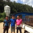 최용환농장 이미지