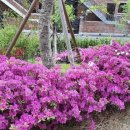 래미안탑부동산공인중개사사무소 이미지