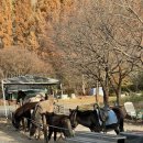 RR-67[중앙로]-상-2 | 25.11.17-25.11.30 가을을 보내는 마음가짐