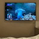 하운드호텔 고덕 이미지