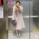 메티스본 이미지