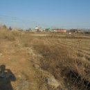 답내1리 이미지