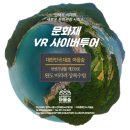 완도 미라리 상록수림 이미지