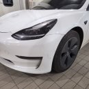 오토테크 | 인천 테슬라전문 TKC협력업체 방문후기 마스터테크 오토바디센터 다녀오길 잘했네요