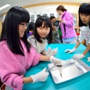 상남초등학교 이미지