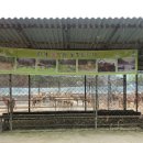 한계사슴농원 이미지