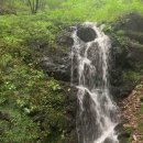 보성녹돈판매점 이미지