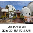 초롱식당 | 정읍 천사히어로즈 앞 '달초롱 카페' 아이와 가기 좋은 돈가스 맛집 &amp; 할인 꿀팁
