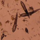 봄사랑동물병원 이미지