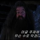 머글머글