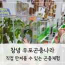 [창녕] 다양한 곤충체험 가득한 창녕 우포곤충나라 후기 | 창녕 아이랑 가볼만한 곳