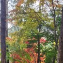 수희재한옥펜션 이미지