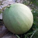 문백농장 이미지