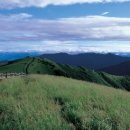 엠파크서비스(주) 이미지