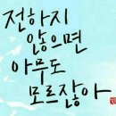 내몸사랑 네이버블로그