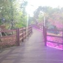 나눔숲 공원 화장실 이미지