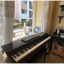 음악나무피아노 이미지