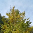 빵을요리하다 이미지