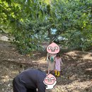 명성불고기 | 부모님과 가기 좋은 불고기 맛집~!!현지인 맛집 공주 '명성 불고기' 육회맛집!! 내돈내산 후기^^