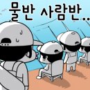 월문낚시터 이미지