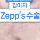 인제메디컬센터 이미지