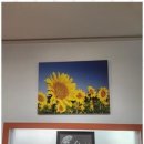 쎈수학러닝센터아산천도학원 | 양천구수학 쎈수학러닝센터 신정학원 체험 후기