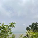 누리풀하우스 이미지