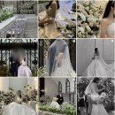 💍 [W5] 아이폰스냅 계약(루고사로즈)