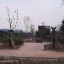 도사초등학교 이미지