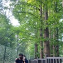 두리비어 이미지