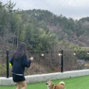 두치네민박 이미지