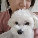 김송이의원 이미지