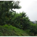 양강우체국 이미지