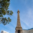 순광상회 | 라이카 Q2 와 함께한 미국서부 라스베가스 여행 - 컴팩트 카메라 추천