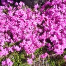 젠틀맨&레이디의원 이미지