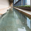 아쿠아필드 고양 이미지